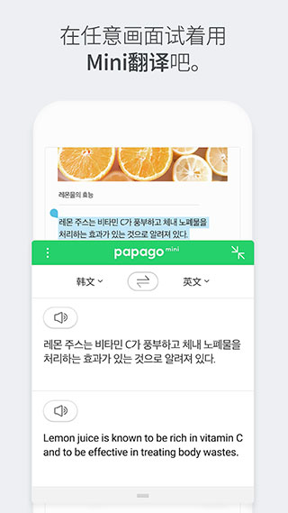 papago手机app