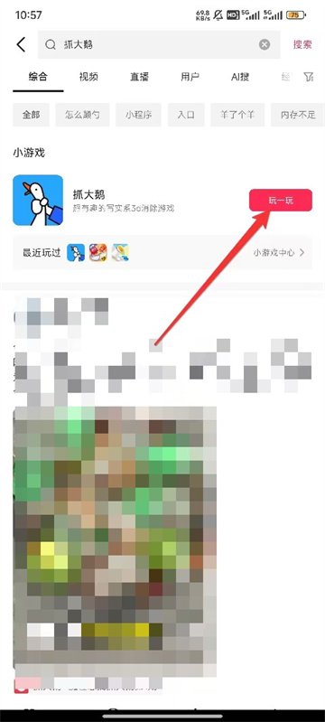 抓大鹅游戏入口