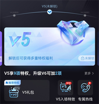 网易大神超级会员v5多少钱