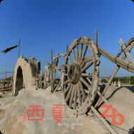 西夏直播最新版
