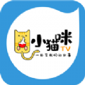 小猫 咪box