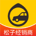 松子拍车安卓版
