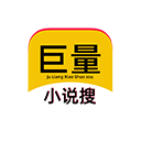 巨量小说